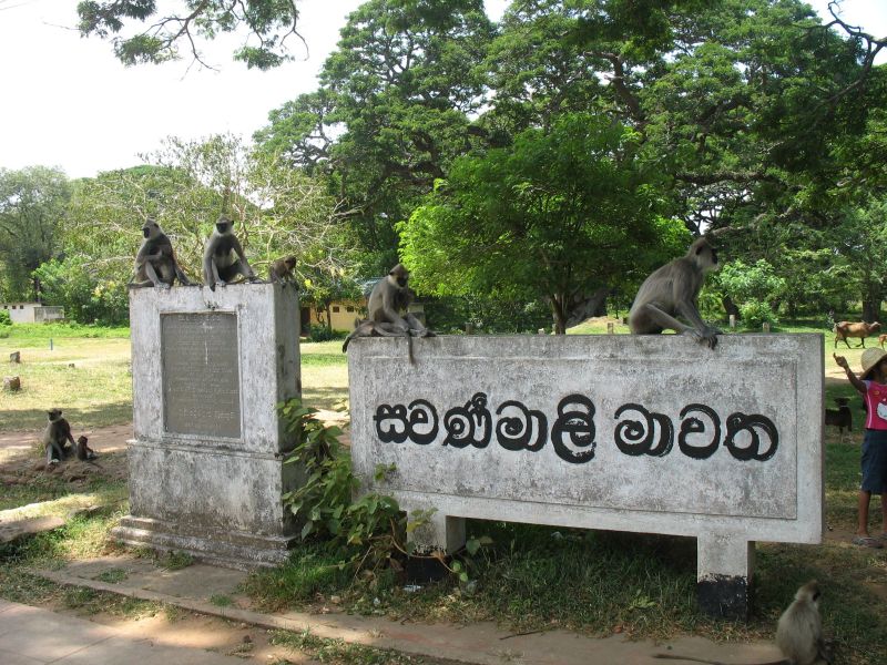 Photo du Sri-Lanka