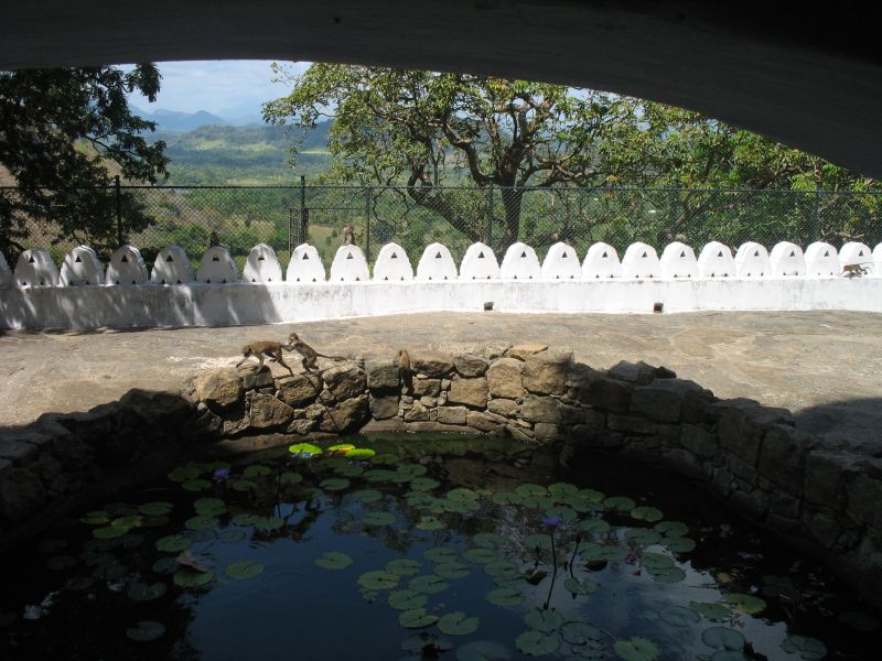 Photo du Sri-Lanka