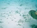 Photo des Maldives