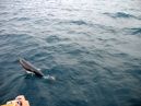 Photo des Maldives