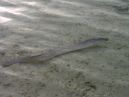 Photo des Maldives