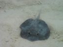 Photo des Maldives