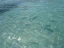 Photo des Maldives