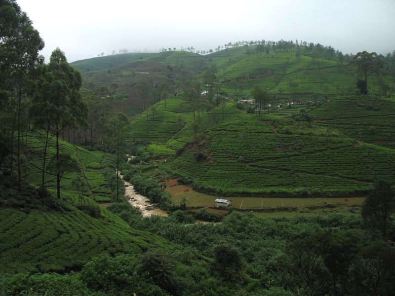 Photo du Sri-Lanka