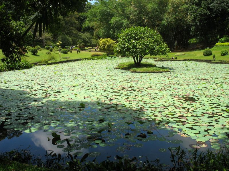 Photo du Sri-Lanka