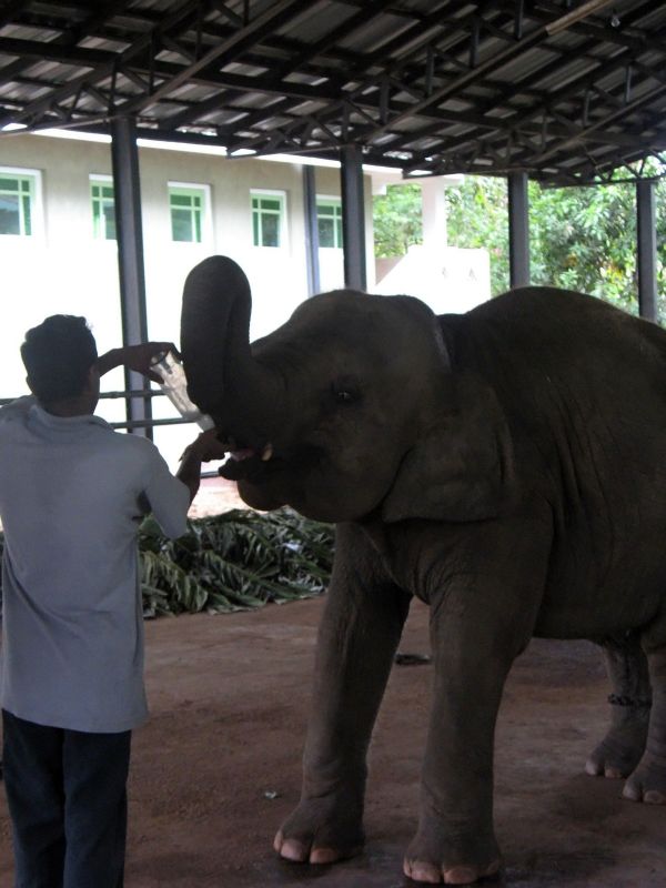 Photo du Sri-Lanka