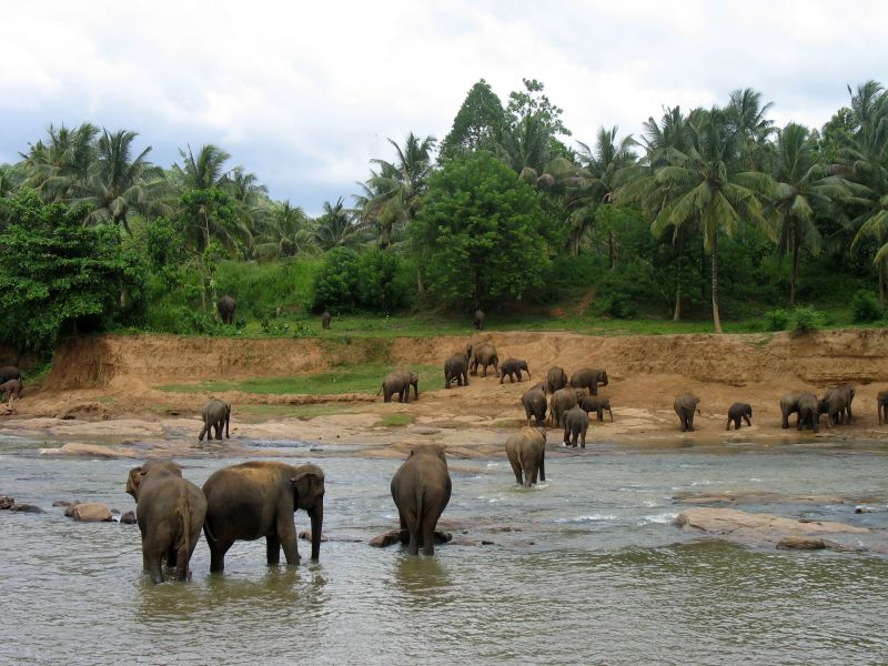 Photo du Sri-Lanka