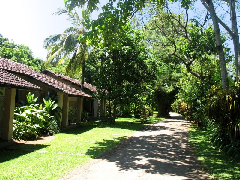 Photo du Sri-Lanka