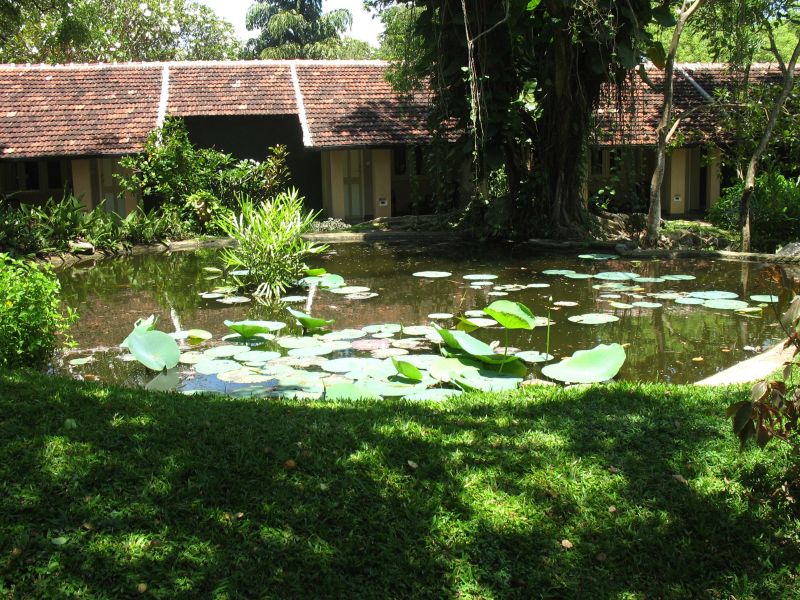 Photo du Sri-Lanka