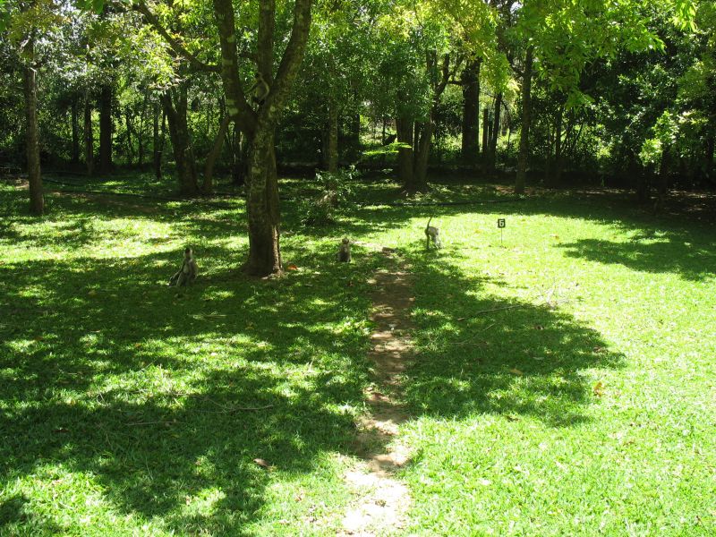 Photo du Sri-Lanka