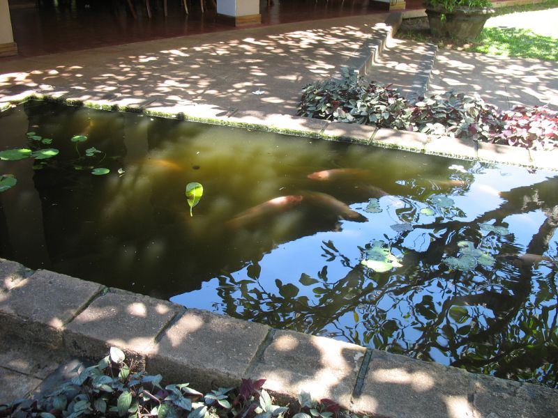 Photo du Sri-Lanka